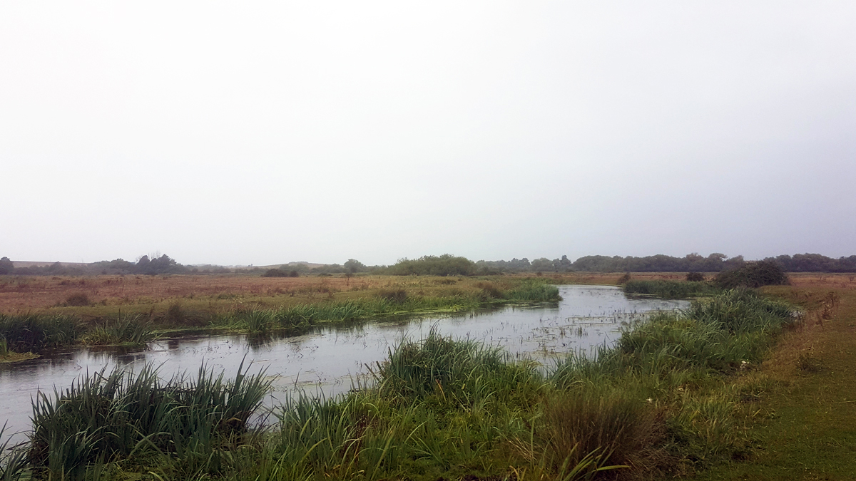 Exploring Staines Moor, the River Colne & surrounding gravel pits