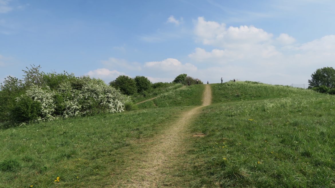 South Norwood Country Park, a wild urban gem